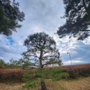 (주)에덴필드 이미지