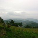 천우농산 Daum카페