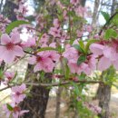 오길농장 이미지