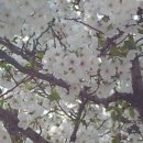 구포2동 주민센터 이미지