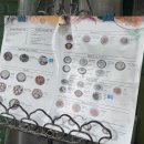 델쿠치나 이미지