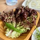 추봉네참숯소갈비살전문점 이미지