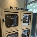 카페 행복시 | 여수 여행 강아지랑 갈 만한 곳 애견동반 카페 시오트 후기