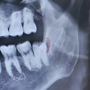 닥터재일치과의원 이미지