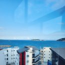 거제하이엔드스파앤풀빌라펜션 | [거제 펜션] 하이엔드 스파앤풀빌라펜션 내돈내산 후기