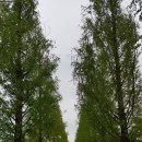 다락방 친구들 이미지