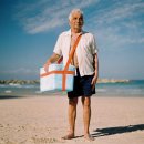 젤리피쉬 이미지