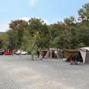 별빛 오토 캠핑장 이미지