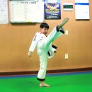 화랑 합기도 무무관 이미지