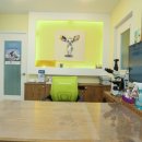 메디펫동물병원 이미지