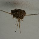 제비농장 이미지