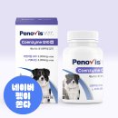 케어플러스 | 고양이 케어 솔루션 페노비스 벳 케어플러스 체험 후기