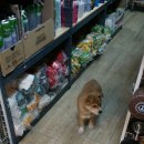 철물만돌이 이미지