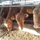 한우육가공농장 이미지