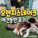 오렌지애견 | 포항 애견동반 맛집 오렌지스네이크 재방문 내돈내산 후기