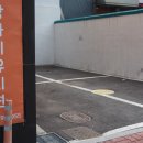 골드애견 이미지