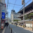 2023-0001 | [후쿠오카 신신라멘 텐진본점] 점심시간 웨이팅 솔직후기🍜 / 이치란vs신신라멘?! 비교후기