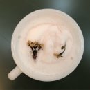 소키싸롱