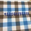 하동중앙내과정형외과의원 네이버블로그