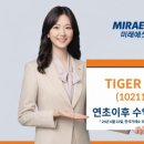 거제-연초-연초-비상-13 테크홀릭