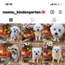 무무유치원 이미지