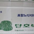 포항노다지마을 이미지