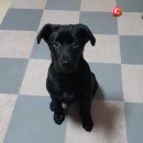 복받음길 | 새해복은 어디로