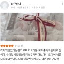 소담화 | 삼척딸기모찌 소담화 후기로보는 딸기찹쌀떡