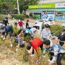 목포대연초등학교 이미지