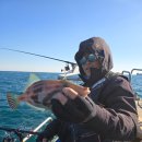 방어진낚시 이미지