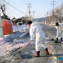 도당1리 이미지