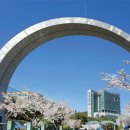 강남대학교 이미지