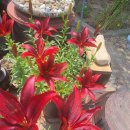 신가리낚시터 이미지