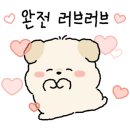 레인바우애견카페 이미지