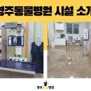 영주동물병원 이미지