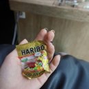에이치앤코헤어 네이버블로그