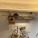 식물원로 이미지