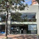 팔레트 | [혜화/대학로] 루프탑이 있는 대형카페 콘크리트팔레트 후기 (+노트북하기 좋은 곳 추천)