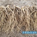 새싹슈퍼 이미지