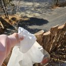 C9 | [가평 캠핑] 선택적고립 C9사이트 2박 후기