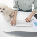 나랑애견유치원 이미지