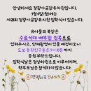 정광사금강유치원 이미지