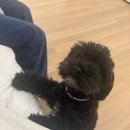 new 서양 한상 | 뉴욕여행 2일차: 팝업베이글, 센트럴파크, 메트로폴리탄미술관, 뉴욕시티투어버스, 태국음식 Mitr Thai