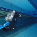 스킨스쿠버, 스킨다이빙(화) 이미지