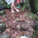 2010.7.4(일) 수락산 산행