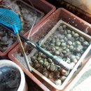 정남진 전망대 횟집 이미지