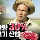 소고기 수출국 호주! 전체 생산량의 70%를 수출한다! 목포MBC 이미지