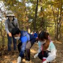 삼성초등학교 데일리와이