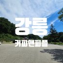 디하우스 풀빌라 펜션 | 아침 산책. 명주군왕릉. 커피앤피플. 디하우스 풀빌라 펜션 주변 다닐곳.