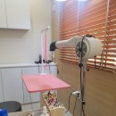 마미펫살롱 이미지